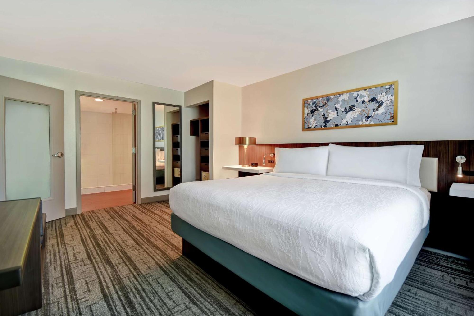 Hilton Garden Inn Houston/Galleria Area Εξωτερικό φωτογραφία